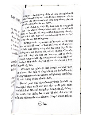 Sách Phương Pháp Nuôi Dế