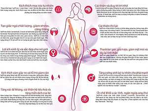 Nhụy hoa nghệ tây Tashrifat Saffron loại chuẩn Negin (1 Grams)