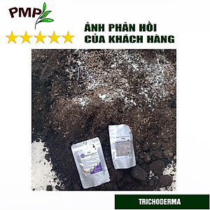 Nấm Trichoderma PMP Nấm Đối Kháng Phòng Thối Rễ, Ủ Phân Hữu Cơ Từ Rác Thải Hữu Cơ 200g