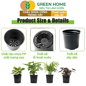 Bộ 3 Chậu nhựa trồng cây, nhiều kích thước, thoát nước tốt, đa dạng kích thước trồng cây, hoa, kiểng lá |Greenhome