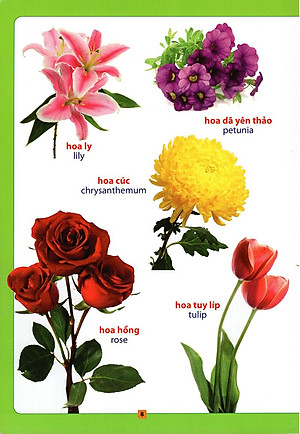 Sách Từ Điển Bằng Hình - Hoa, Quả, Rau, Củ