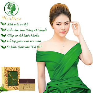 Bộ chăm sóc mẹ là siêu nhân, khử mùi, phục hồi năng lượng cho mẹ sau sinh Wonmom (1 lá xông + 1 hộp thảo mộc vệ sinh vùng kín cho mẹ)