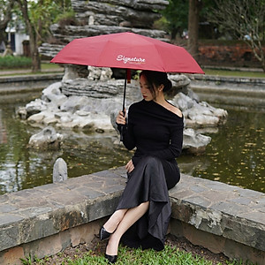 Ô tự động thông minh hai chiều Nason Umbrella phiên bản V3 chống gió cấp 6, ô gấp ngược, tối ưu hóa khả năng chắn nước