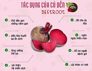 Bột củ dền hữu cơ nguyên chất sấy lạnh Dalahouse - Thúc đẩy sức khỏe tim mạch, hỗ trợ giải độc gan, tăng cường thể lực