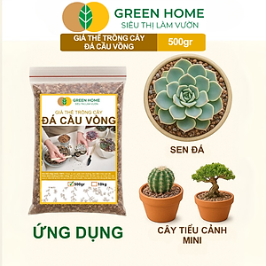 Đá Cầu Vồng Trồng Sen Đá GreenHome, Bao 500GR, Kích Rễ, Đậm Màu, Thoát Nước Tốt, Trộn Đất, Rải Bề Mặt Đều Tốt