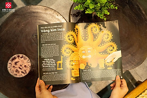 Sách - Những màu sắc làm nên lịch sử - Màu sắc đã định hình nền văn minh nhân loại như thế nào? - Đinh Tị Books