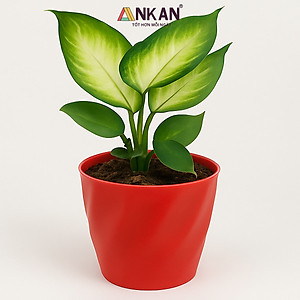 Chậu nhựa xoắn trồng cây ANKAN cho hoa hồng, cây cảnh mini, trồng rau, để bàn, treo ban công