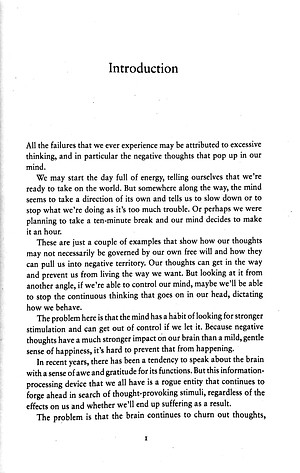 The Practice Of Not Thinking: A Guide To Mindful Living