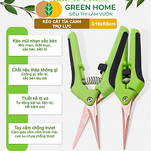 Kéo Cắt Cành GreenHome, D16,5xR4,5cm, Inox, Mũi Nhọn, Siêu Bén, Không Gỉ, Có Khoá An Toàn, Nhiều Màu Lựa Chọn