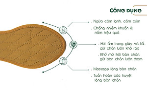 Lót giày vải cotton Hương quế CI-02 làm từ vải cotton - bột quế giúp hút ẩm - khử mùi - phòng cảm cúm và cải thiện sức khoẻ