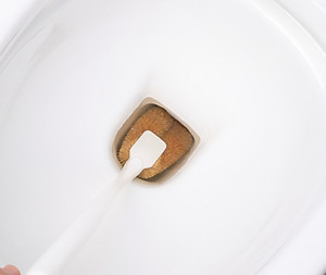 Combo 03 chiếc chổi cọ toilet xơ dừa hàng nội địa Nhật Bản