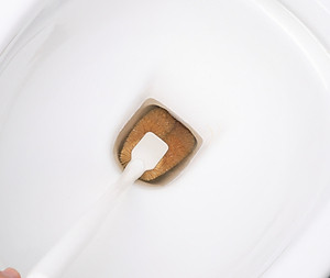 Chổi cọ rửa Bồn cầu/Tolet - Hàng nội địa Nhật Bản