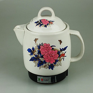 Ấm săc thuốc điện tự động ngắt, dễ sử dụng Fujiika, màu sắc hài hòa-hàng chính hãng