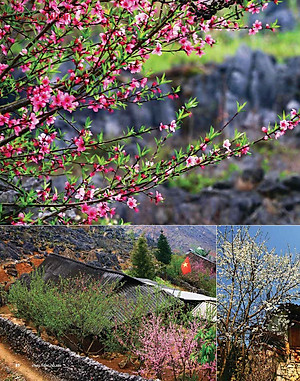 Tạp chí Kiến Trúc và Đời Sống số Xuân Bính Ngọ (Tháng 2&3-2026) _ Không Gian Quá Vãng