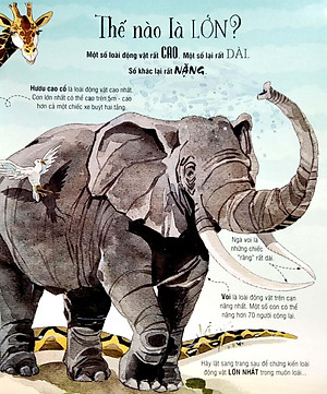 Sách Tương Tác - Big book - Cuốn sách khổng lồ về các loài động vật khổng lồ