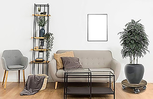 Đế Lót Chậu Cây Có Bánh Xe Cao Cấp ANKAN, Tròn Màu Xám Đen R35cm, Tải trọng 150 Kg, Di Chuyển Chậu Cây Êm Ái, Không Ồn