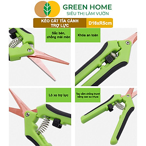 Kéo Cắt Cành GreenHome, D16,5xR4,5cm, Inox, Mũi Nhọn, Siêu Bén, Không Gỉ, Có Khoá An Toàn, Nhiều Màu Lựa Chọn