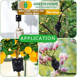 Bầu Chiết Cành Greenhome, Dụng Cụ Làm Vườn, Tăng Khả Năng Ra Rễ, Chống Úng Cành Chiết, Độ Bền Đến 2 Năm, Dễ Sử Dụng