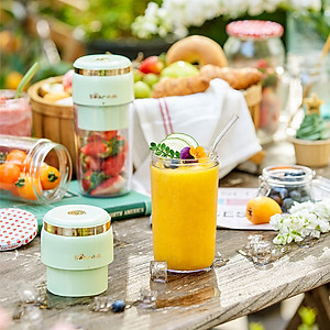 Máy Sinh Tố Cầm Tay Bear LLJ-E03F1 Dung Tích 300 ML Công Suất 50 W - Hàng Nhập Khẩu