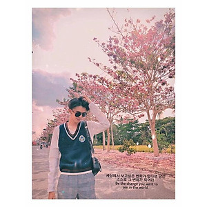 Cây Kèn Hồng - cây cảnh vườn + tặng phân bón cho cây