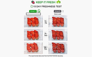 THIẾT BỊ TẠO OZONE DIỆT KHUẨN, KHỬ MÙI TỦ LẠNH GUARDIAN ANGEL - HÀNG NHẬP KHẨU