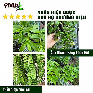 Siêu Phân Bón Hữu Cơ Vi Sinh - Cho Hoa Lan, Cây Cảnh, Bon Sai - Probio PMP 1Kg
