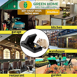 Bẫy Chuột Thông Minh Greenhome, D14xr9cm, Lò Xo Độ Nhạy Cao, Lực Gấp Mạnh, Dễ Dùng, Hiệu Quả Cao, Tái Sử Dụng Nhiều Lần