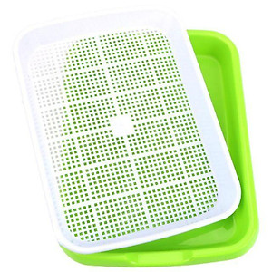 Bộ khay nhựa ươm hạt trồng rau sạch thủy canh, rau mầm ...