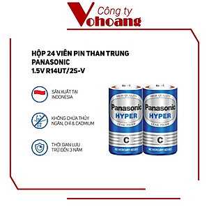 Pin C carbon Panasonic R14UT/2S chính hãng