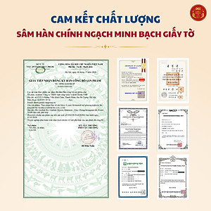 Cao hồng sâm lên men 100gram * 3 lọ Daedong Korea Ginseng 