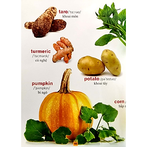 Sách Từ Điển Bằng Tranh - Rau Củ Quả