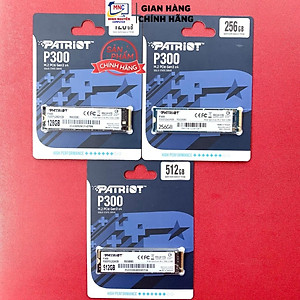 Ổ cứng SSD PATRIOT 256G P300 M.2 2280 NVMe Gen 3x4 - P300P128GM28 - Hàng Chính Hãng