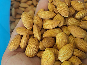 Hạnh Nhân Úc Nương Nguyên Vị  - Thương Hiệu Holinut/500gram