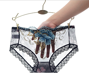 Bộ 5 quần lót ren nữ thêu hoa 