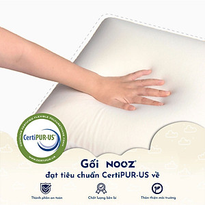Gối Cao Su Non NOOZ Memory Foam Pillow Gối Công Thái Học Giảm Đau Mỏi Cổ Vai Gáy