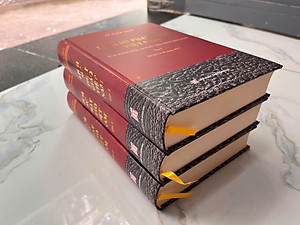 Sách - Lịch Sử Phật Giáo Việt Nam Bộ 3 Tập - Bìa Cứng ( Lê Mạnh Thát )