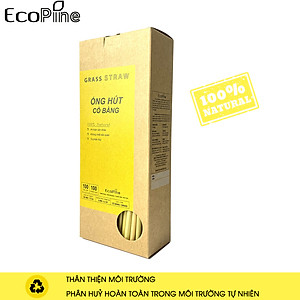 Hộp 100 Ống Hút Cỏ Bàng Ecopine Dài 20 cm - Dùng Được Cho Tất Cả Các Loại Thức Uống