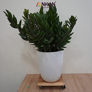 Kệ Để Chậu Cây Có Bánh Xe ANKAN, Đế Để Chậu Cây, Kệ Giá Đỡ Chậu Hoa Cây Cảnh, Hình Vuông Màu Vàng R30 Cm, Tải 150kg