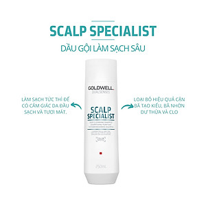 Dầu Gội Kiềm Dầu Goldwell Scalp Specialist Cấp Ẩm Và Làm Sạch Sâu, Kiểm Soát Dầu Thừa Hiệu Quả 250ml