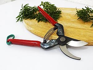 Kéo cắt cành cao cấp Nhật Bản Chikamasa PST-8 chiều dài lưỡi 45mm - lưỡi thép carbon chất lượng cao siêu bén - cắt ngọt, không bám dính, liền sẹo nhanh