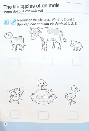 Khoa Học Tiền Tiểu Học Song Ngữ - Sách Luyện Tập 5