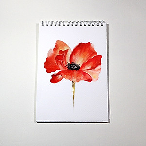 Sổ vẽ màu nước chuyên dụng A5 có vân, dòng cao cấp lên màu đẹp loang màu tự nhiên vẽ được cả chì, 15 tờ/cuốn chất giấy dày 300gsm nhập từ Ý không bị cong TIG373 Green Art - Hàng chính hãng