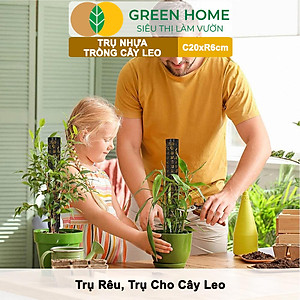 Trụ nhựa trồng cây, D20xR6cm, nhựa cứng, có khớp dễ nối dài, chuyên hệ cây leo, trầu bà, kiểng lá |Greenhome