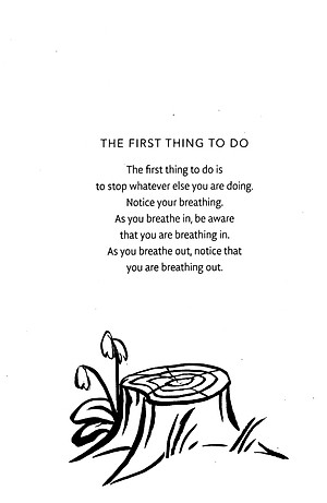 How To Live: The Essential Mindfulness Journal