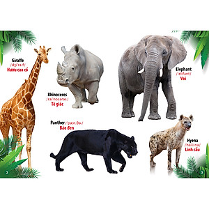 Từ Điển - Thư Viện Song ngữ Đầu Tiên của Bé - Thế Giới Động Vật - Động Vật Dưới Nước ( bộ 2 cuốn)