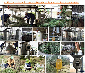 Tinh dầu vỏ bưởi da xanh Mộc Mây - tinh dầu nguyên chất từ thiên nhiên - chất lượng và mùi hương vượt trội
