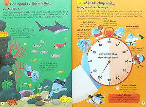 Sách 100 Bí Ẩn Đáng Kinh Ngạc Về Cơ Thể Người (USBORNE - 100 Things To Know About The Human Body)