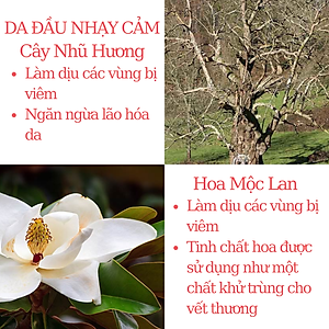 Dầu gội ngăn rụng tóc dành cho da đầu nhạy cảm, giúp tóc chắc khỏe từ gốc đến ngọn Sensitive Scalp Shampoo Jean Yip