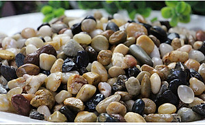 Sỏi Suối 3 Màu (1.2KG, size to ) - Trang Trí Bể Cá, Thủy Sinh, Tiểu Cảnh, Lọc Nước Hiệu Quả