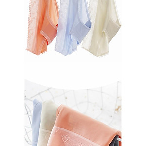 Quần Chip Nữ ️️ Quần Lót Nữ Su Lụa Băng Tàng Hình Cạp Ren Họa Tiết